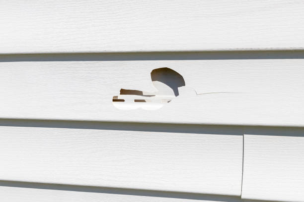 Best Construction Debris Removal  in Mount Sterling, KY
