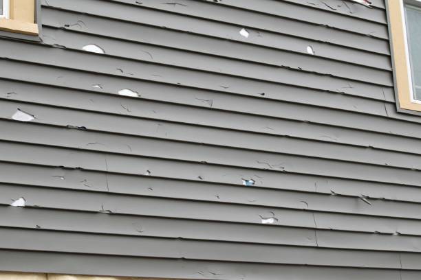 Best Hoarding Cleanup  in Mount Sterling, KY