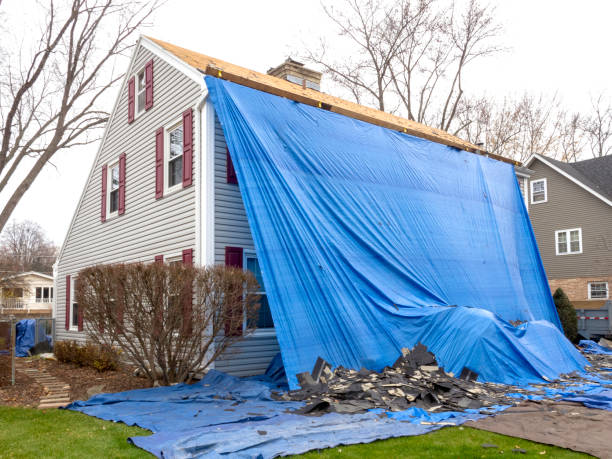Best Carpet Removal and Disposal  in Mount Sterling, KY