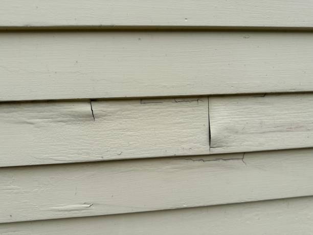Best Same-Day Junk Removal Services  in Mount Sterling, KY